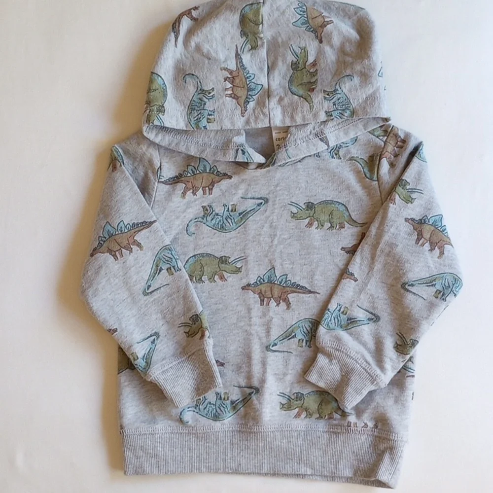 3 Pcs Carter's Dinosaur Hoodie Gap T-shirt H&M Skull Cap 2T